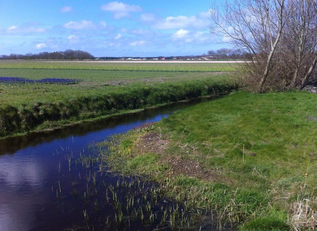 Strand49 Glamping Sint Maartenszee Sint Maartensvlotbrug 外观 照片